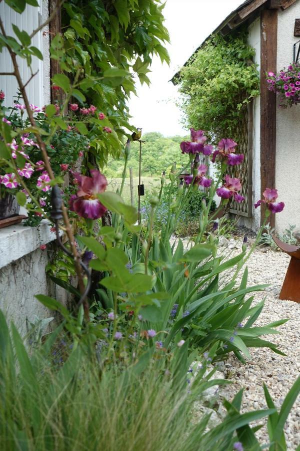 Le Montillon Tour-en-Sologne Buitenkant foto
