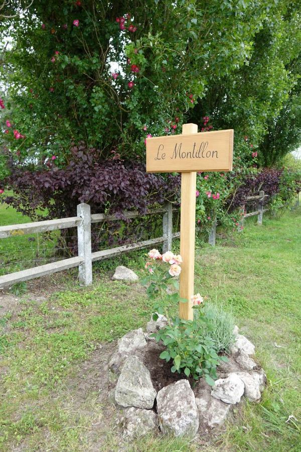 Le Montillon Tour-en-Sologne Buitenkant foto